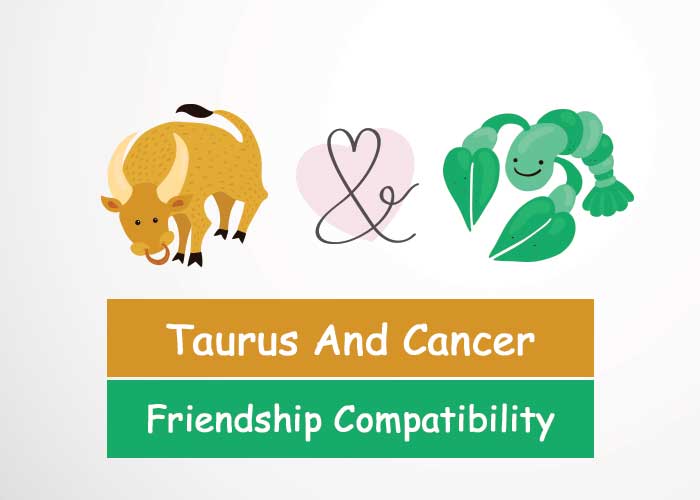 And friendship taurus cancer Taurus Man