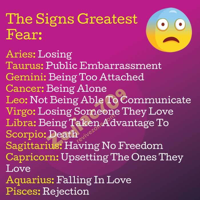 The Signs Greatest Fear - Revive Zone