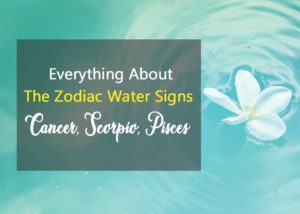 Everything About The Zodiac Water Signs (Cancer, Scorpio, Pisces)