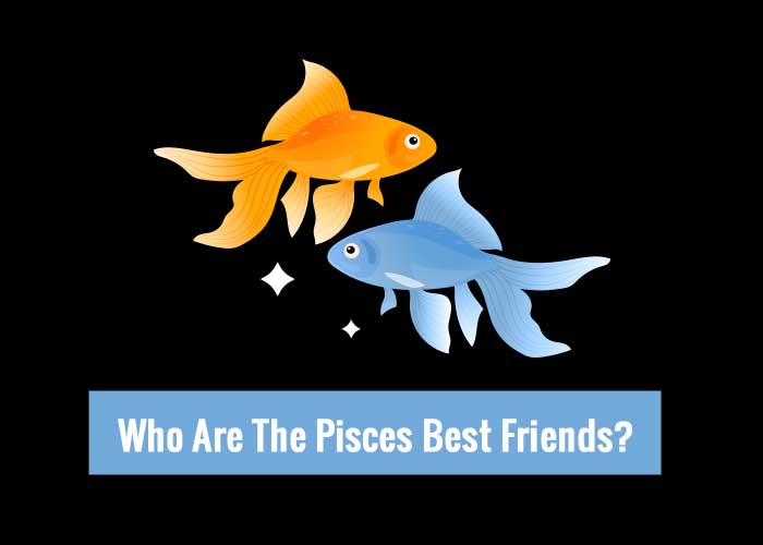 Who Are The Pisces Best Friends?